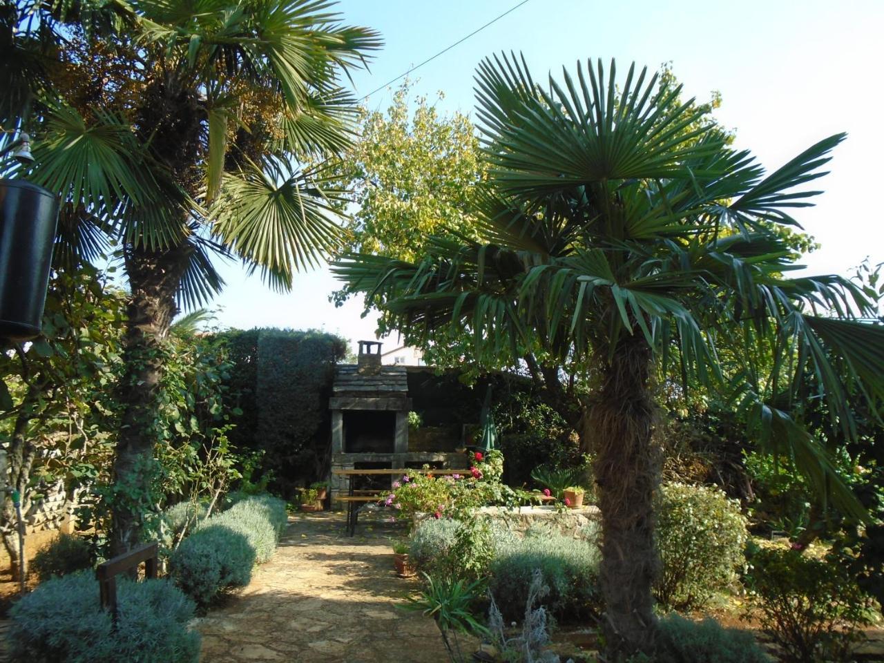 Villa Maria Novigrad  Bagian luar foto