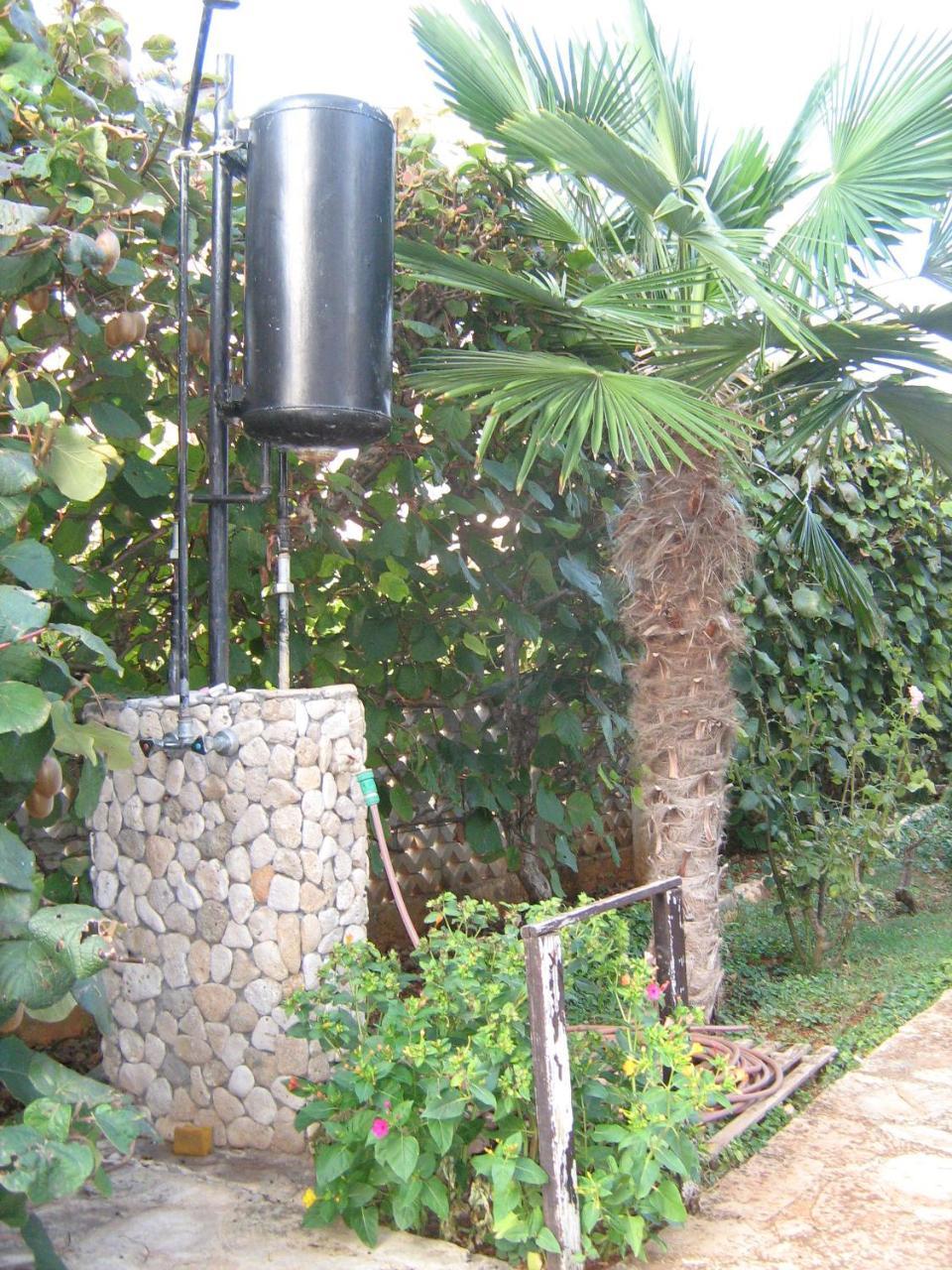 Villa Maria Novigrad  Bagian luar foto
