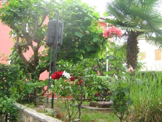Villa Maria Novigrad  Bagian luar foto